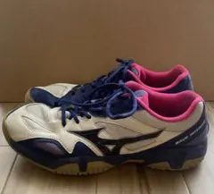 Mizuno シューズ ウェーブデュエル ミズノ 23 - メルカリ