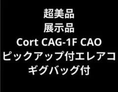 超美品 展示品 Cort CAG-1F CAO PU付エレアコ ギグバッグ付 超美品 展示品 Cort CAG-1F CAO PU付エレアコ ギグバッグ付 - メルカリ