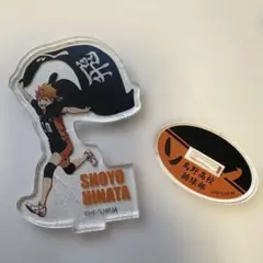 ハイキュー　日向翔陽　セブンネット　アクリルスタンド　横断幕