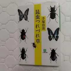 Item thumbnail for item 6180a010-a37d-4cd9-9e68-edb6ea7a54d4