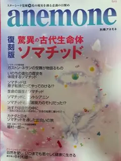 anemone 別冊 復刻版 ソマチッド