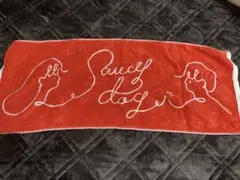 SaucyDogタオル