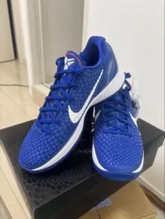 Nike Kobe 6 Protro 