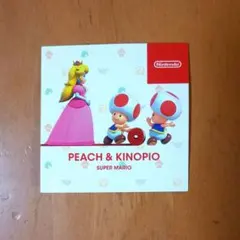 Item thumbnail for item 28303a3c-0b04-42a5-bdfa-7e66efdb7673