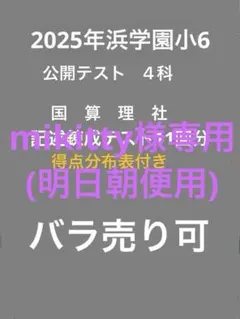 2026年最新】浜学園 公開テスト 小4の人気アイテム - メルカリ