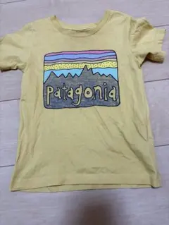Patagonia パタゴニア キッズ Tシャツのサムネイル