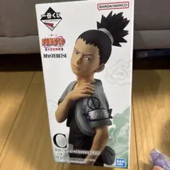 Item thumbnail for item 38133fe5-6a40-4cea-acc1-5aa507a24488