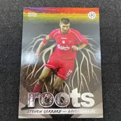 Item thumbnail for item 35665480-ab1c-4019-a402-6e1912de0b42