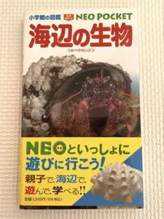 【新品未使用】小学館の図鑑　海辺の生物　NEO POCKET
