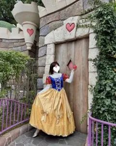 白雪姫 コスプレ衣装 ドレス リボン パニエ りんご付き Dハロ 白雪姫 コスプレ衣装 ドレス リボン パニエ りんご付き Dハロ - メルカリ