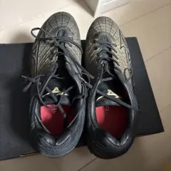 ミズノプロ ドミナントニット スパイク 26.0 Mizuno Pro - メルカリ