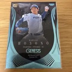 細野晴希　ルーキー　genesis /100 即購入◎