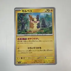 専用