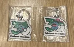 ポケモン 30周年 メタルチャームマスコット