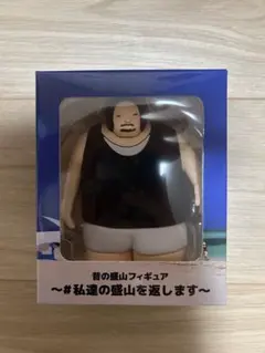 昔の盛山フィギュア #私達の盛山を返します - メルカリ