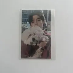 エスクプス 会場限定