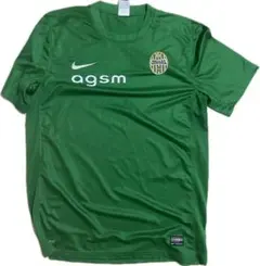Nike DRI-FIT 緑色 Tシャツ L エラス ヴェローナ