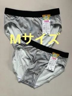 Item thumbnail for item 67890a4a-8cb5-4e0d-8510-2d5805ec27ce