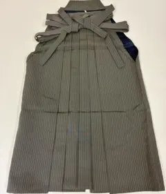 Item thumbnail for item 418fa72d-48e7-4d5b-a914-60aa7c0e2ee9