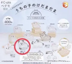 正規品 うちの子のけだまだま 黒柴