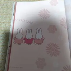 ゼクシィ3月号付録ミッフィーBlooming婚姻届