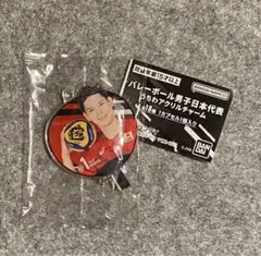 バレーボール男子日本代表 スポーツ選手