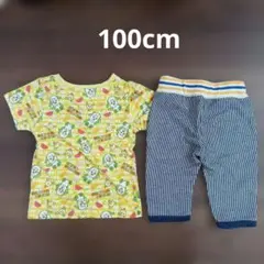 100cm　いないいないばあっ！ ワンワン うーたん Tシャツ・パンツ