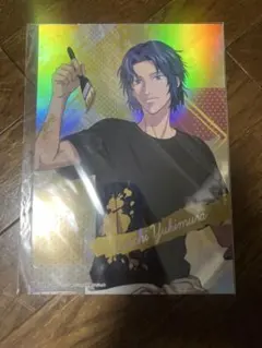 テニスの王子様 COLORS ペイント 幸村&仁王 ステラフォトセット