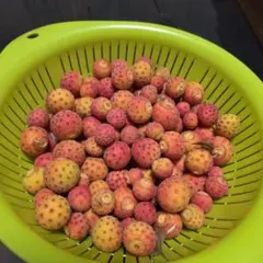 ヨッシー様 リクエスト 3点 まとめ商品