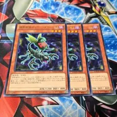 捕食植物オフリススコーピオ