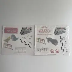 SexyZone timelesz POP STEP ボディシールのサムネイル