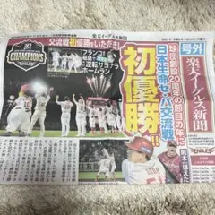 楽天イーグルス 日本シリーズ初優勝新聞