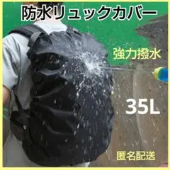 Item thumbnail for item cbe13ad0-a40a-40dc-8d52-2f43109edeb0