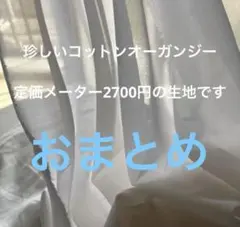 Item thumbnail for item 33708d34-15ff-405b-84c2-bdc5216c062e