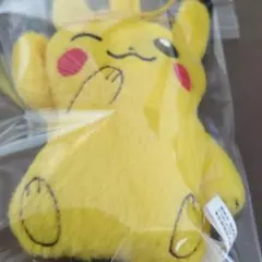 ピカチュウ　❽