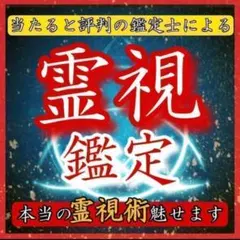 現役プロ鑑定士の霊視鑑定 占い/恋愛/片思い/不倫/彼の気持ち/金運/ヒーリング