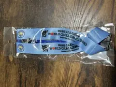 2026年最新】マリノス マンチェスターの人気アイテム - メルカリ
