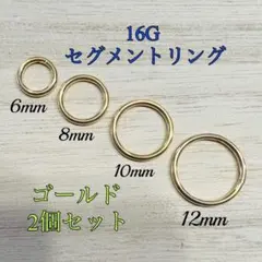 16G ゴールド２個セットセグメントリング フープ リング ピアス ボディピアス