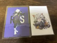 crazyraccoon CR ras セット