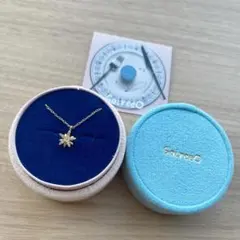 2025年最新】nissy 西島隆弘 soireeo(ソワレオー)フラワー