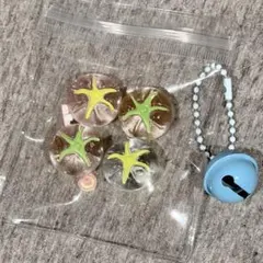 スクイーズ ミニサイズ トマト