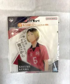 ハイキュー！！ 孤爪研磨 BIGアクリルスタンド 一番くじ(I賞)