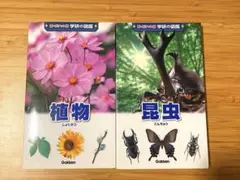 新ポケット版学研の図鑑昆虫、植物2冊セット