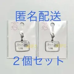 正規品　新品未開封　ちいかわパーク　限定　チャーム　ハチワレ　草むしり検定　２個