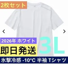 ワークマン 氷撃冷感 -10℃ 半袖 Tシャツ ホワイト 2枚セット 新品未使用