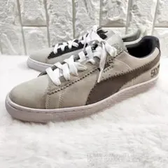 Item thumbnail for item 0ab3981a-954d-45c6-a397-eabb4a955b79