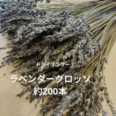 ドライフラワー素材❕スペルト小麦25本(^.^)自然栽培.:*:・'°☆ - メルカリ