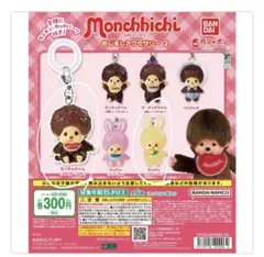 モンチッチ めじるしアクセサリー 2