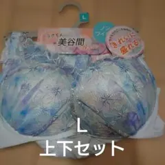 ラクちん美谷間Bra 上下セット Lサイズ