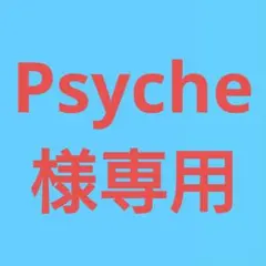 ◆(Psyche様専用！)おまとめ購入4点！